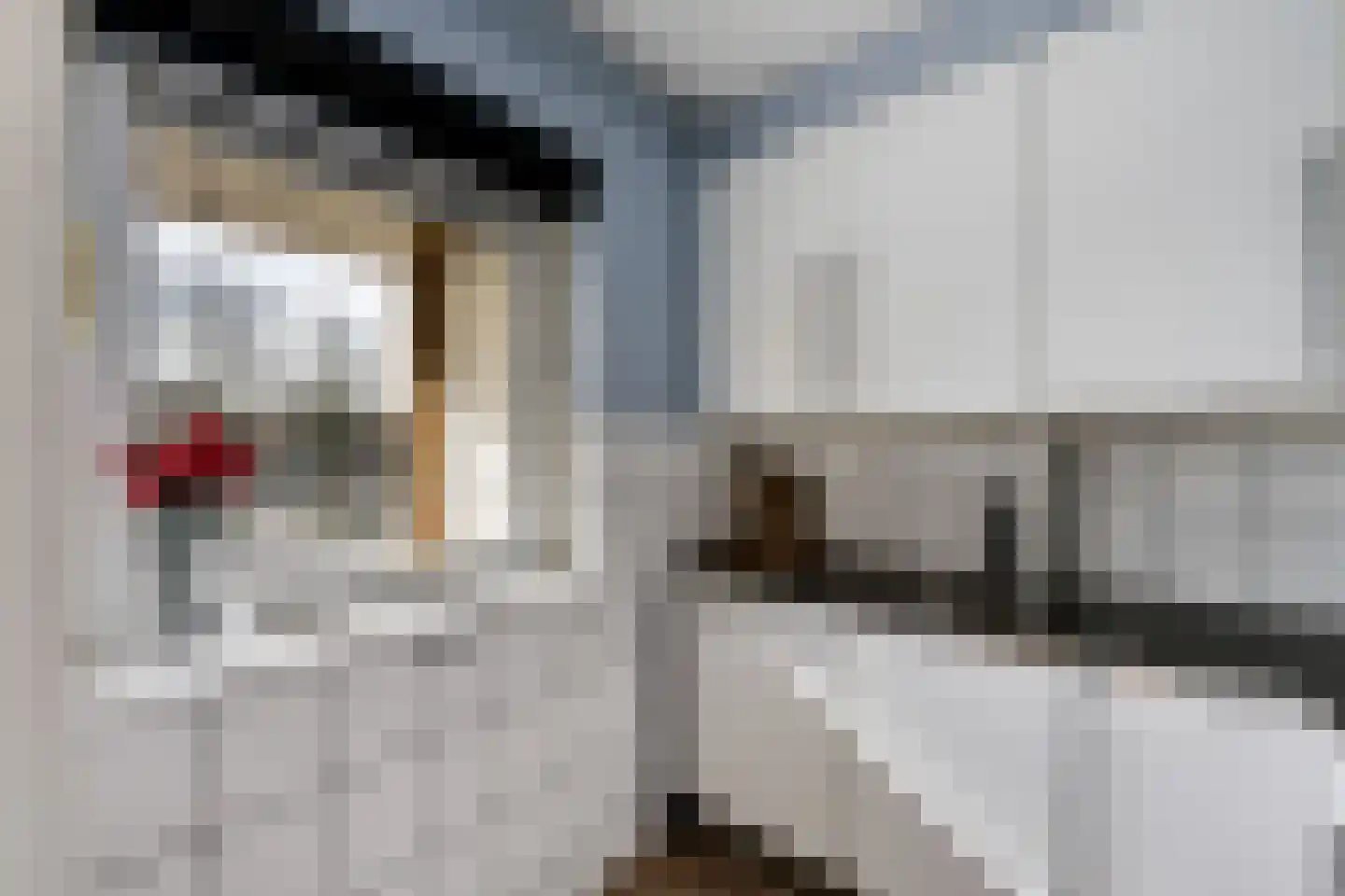 Hogenkampsweg 53 Zwolle thumbnail 14