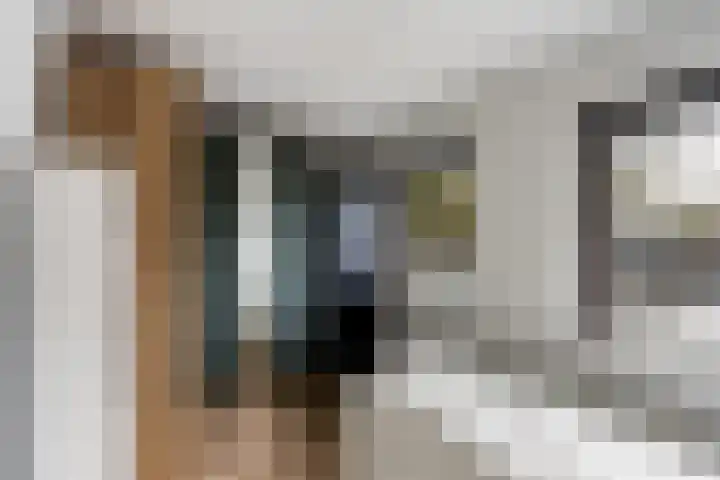 Hogenkampsweg 53 Zwolle thumbnail 16