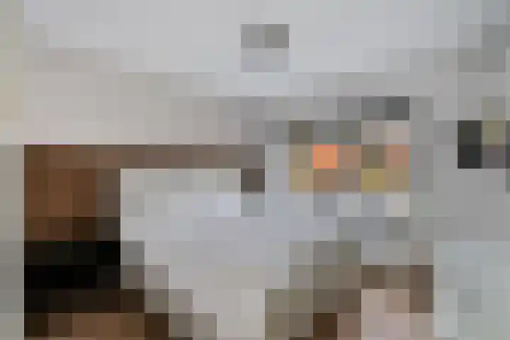 Hogenkampsweg 53 Zwolle thumbnail 17