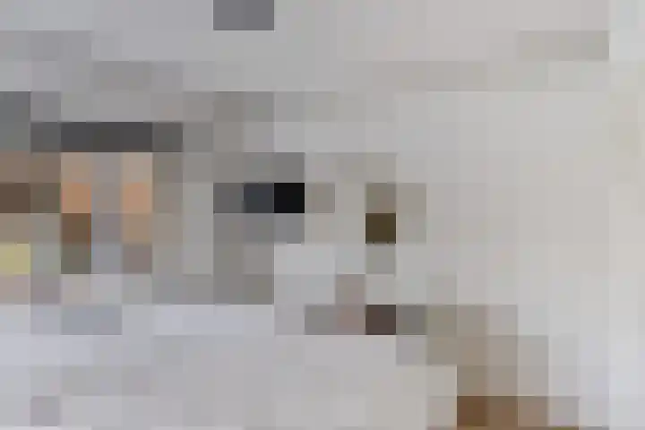 Hogenkampsweg 53 Zwolle thumbnail 18