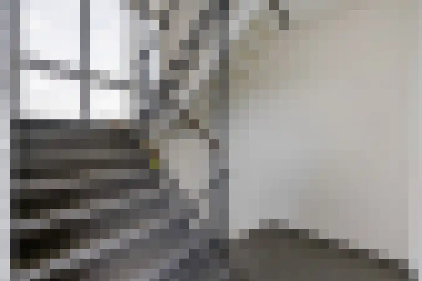 Hogenkampsweg 53 Zwolle thumbnail 23
