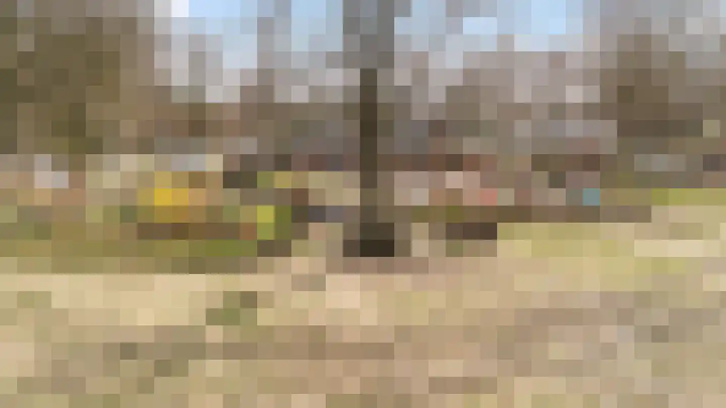Hogenkampsweg 53 Zwolle thumbnail 26