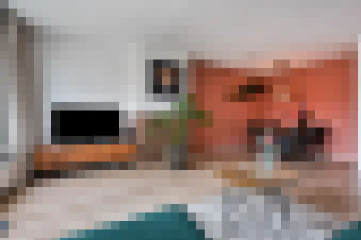 Hogenkampsweg 53 Zwolle thumbnail 5