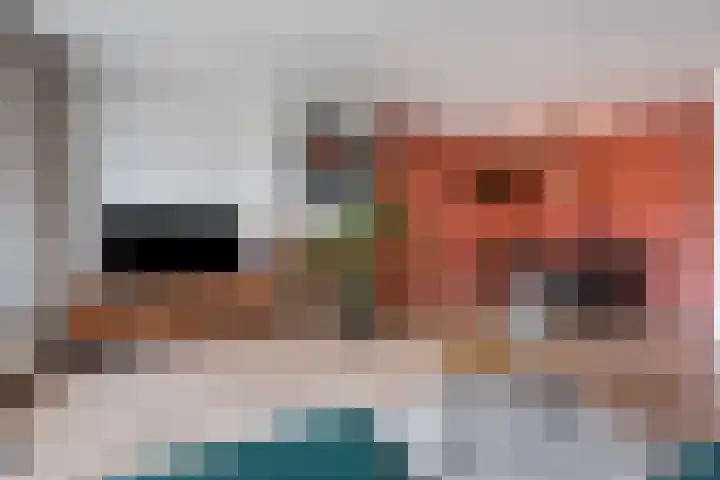 Hogenkampsweg 53 Zwolle thumbnail 5