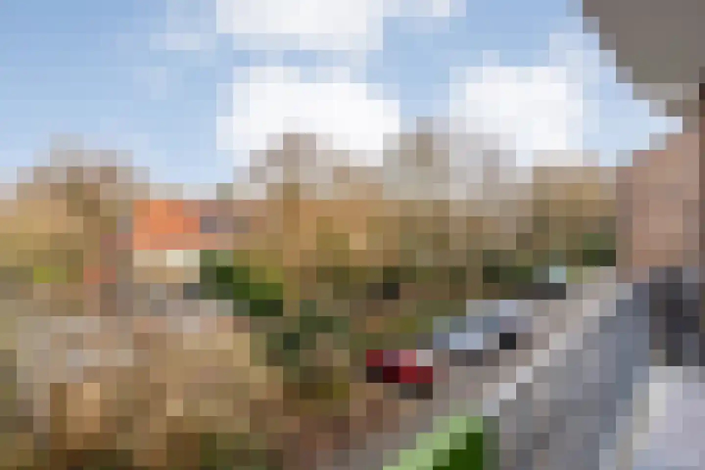 Hogenkampsweg 64 Zwolle thumbnail 10