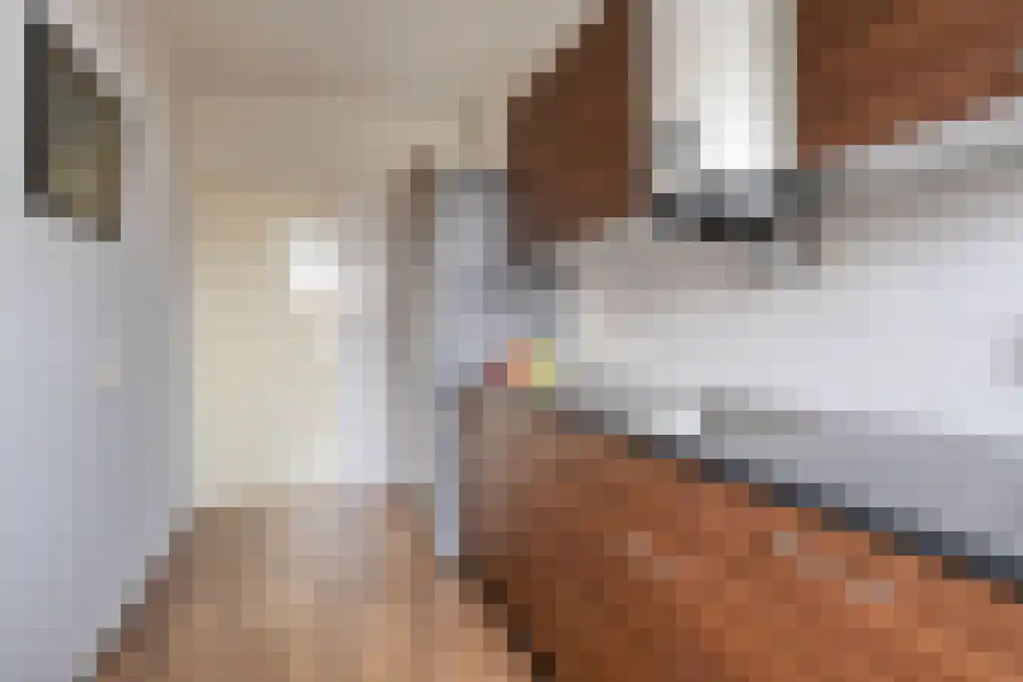Hogenkampsweg 64 Zwolle thumbnail 13