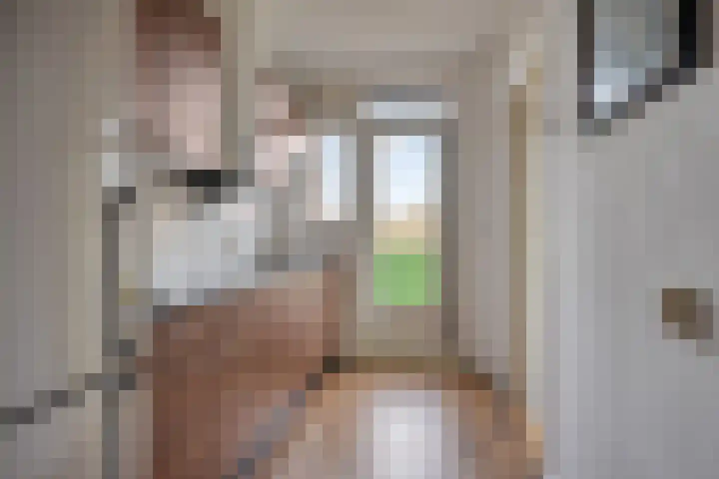 Hogenkampsweg 64 Zwolle thumbnail 15