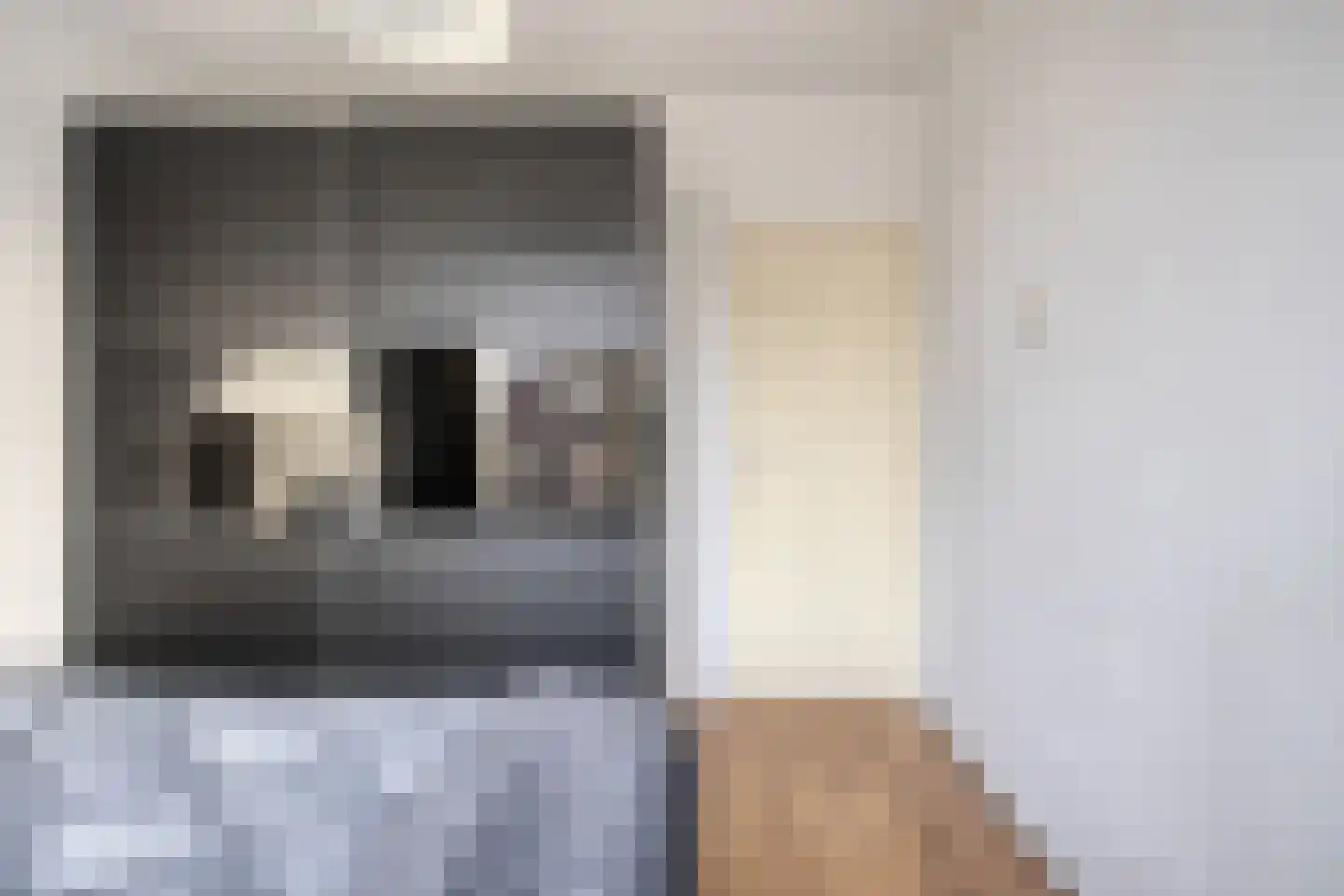 Hogenkampsweg 64 Zwolle thumbnail 17