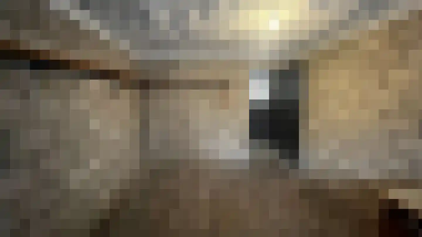 Hogenkampsweg 64 Zwolle thumbnail 33
