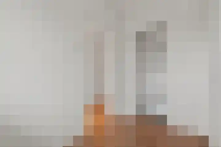 Hogenkampsweg 69 Zwolle thumbnail 16
