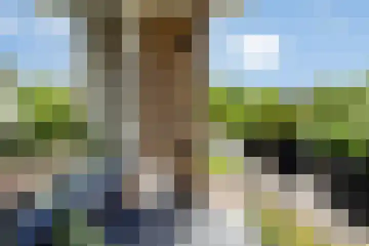Hogenkampsweg 74 Zwolle thumbnail 11