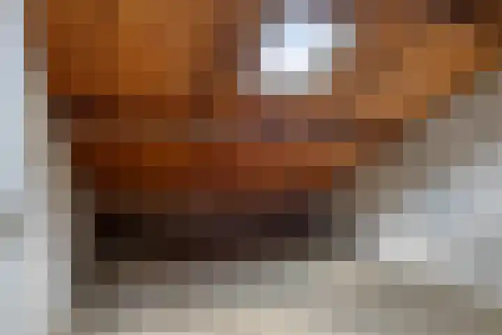 Hogenkampsweg 74 Zwolle thumbnail 17