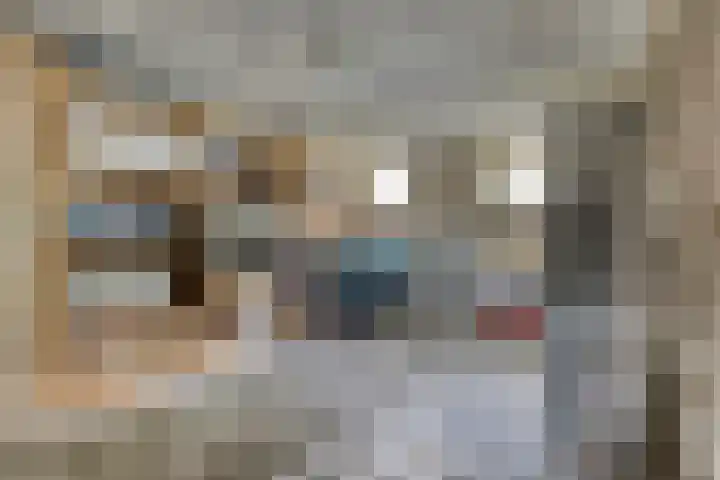 Hogenkampsweg 74 Zwolle thumbnail 18