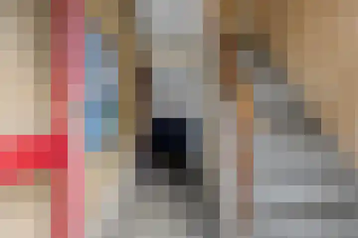 Hogenkampsweg 74 Zwolle thumbnail 19