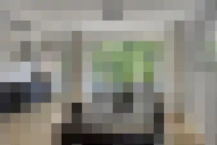 Hogenkampsweg 74 Zwolle thumbnail 4