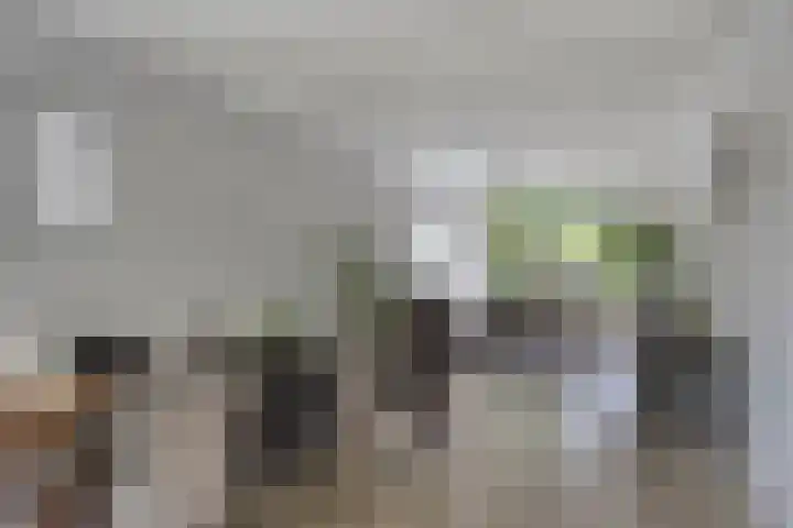Hogenkampsweg 74 Zwolle thumbnail 5