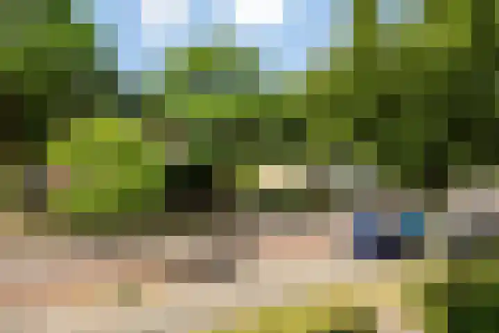 Hogenkampsweg 74 Zwolle thumbnail 6