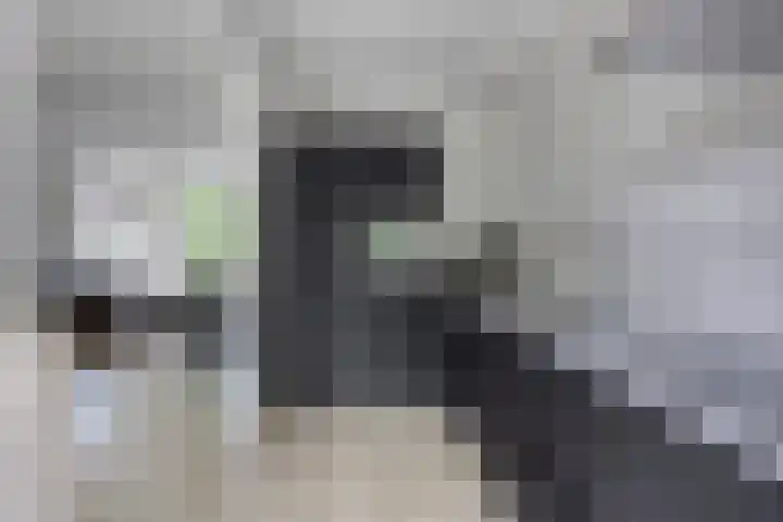Hogenkampsweg 74 Zwolle thumbnail 8