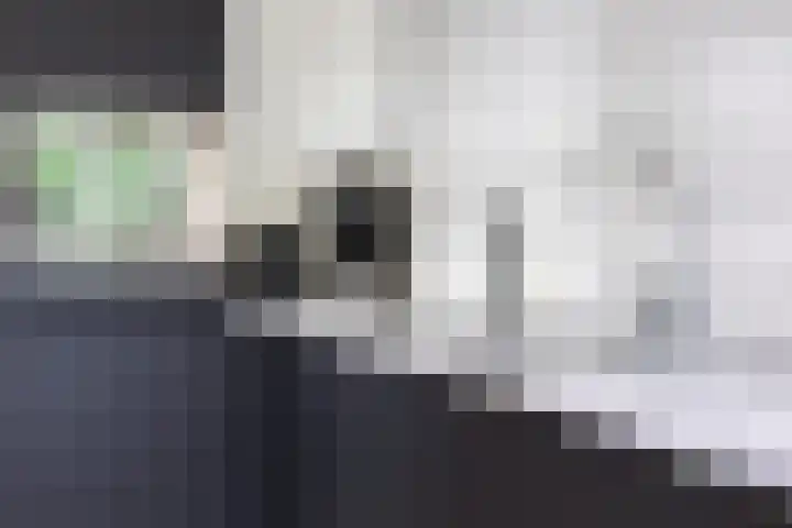 Hogenkampsweg 74 Zwolle thumbnail 9