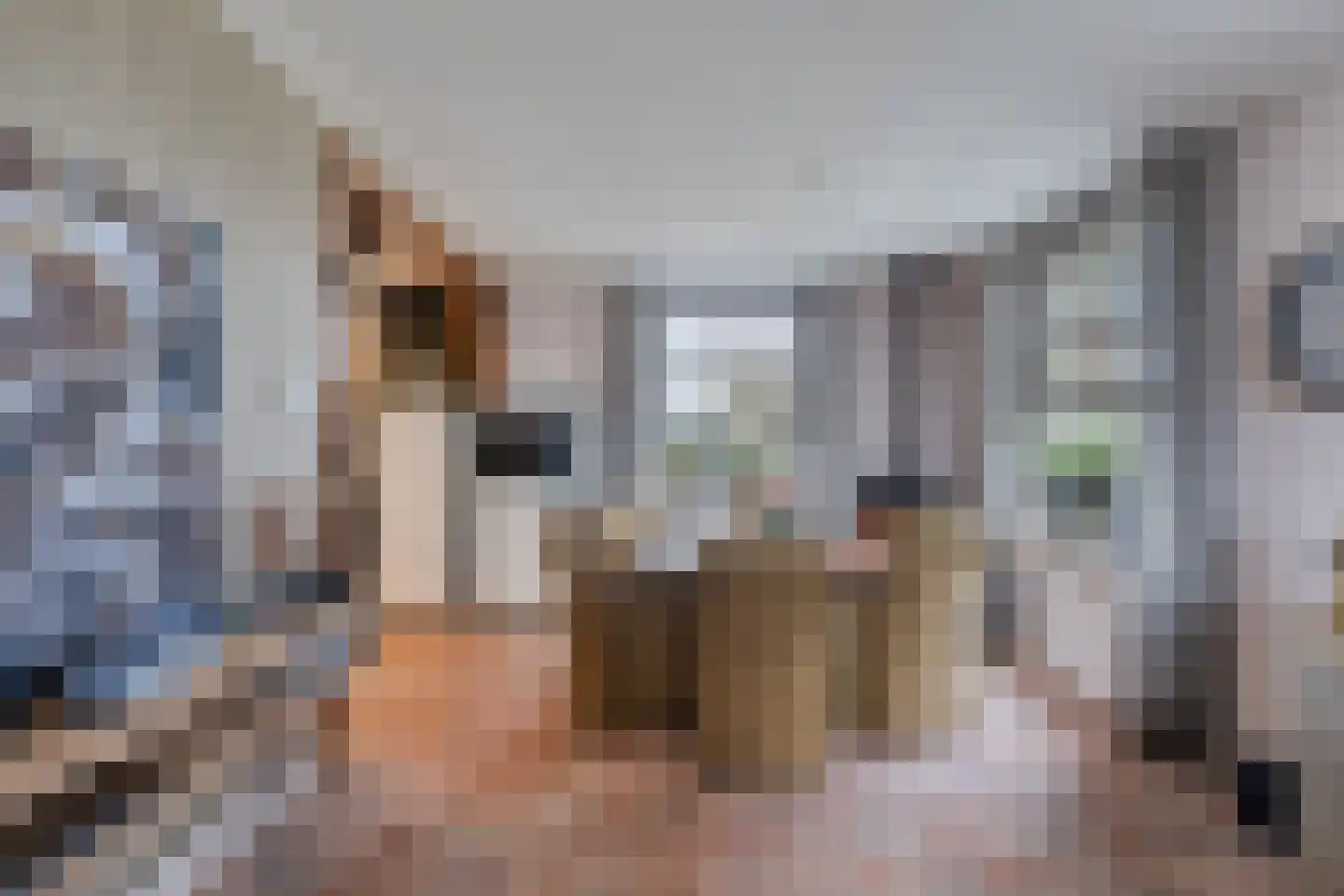 Hogenkampweg 1 Keijenborg thumbnail 9