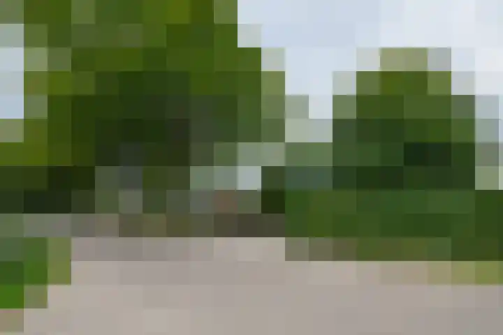 Hogenkampweg 3 Keijenborg thumbnail 10