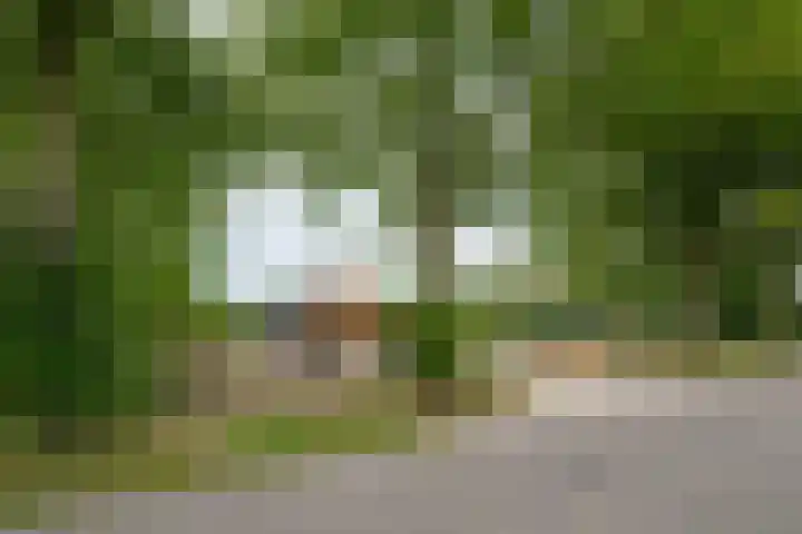 Hogenkampweg 3 Keijenborg thumbnail 11