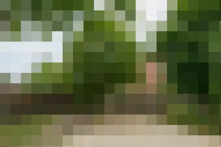 Hogenkampweg 3 Keijenborg thumbnail 12
