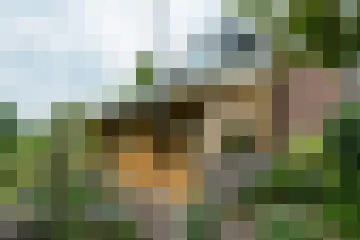 Hogenkampweg 3 Keijenborg thumbnail 15