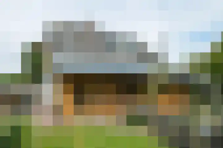Hogenkampweg 3 Keijenborg thumbnail 16