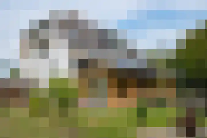 Hogenkampweg 3 Keijenborg thumbnail 17