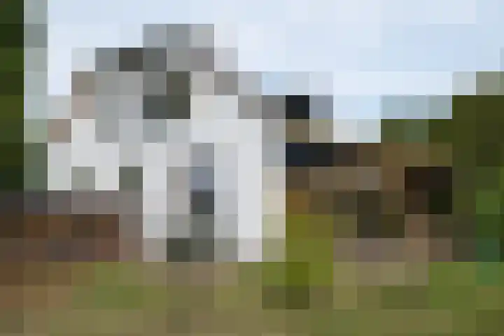 Hogenkampweg 3 Keijenborg thumbnail 18
