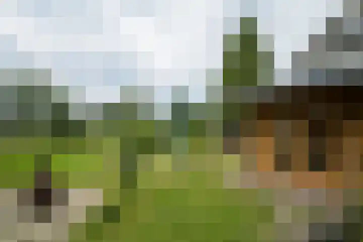 Hogenkampweg 3 Keijenborg thumbnail 19