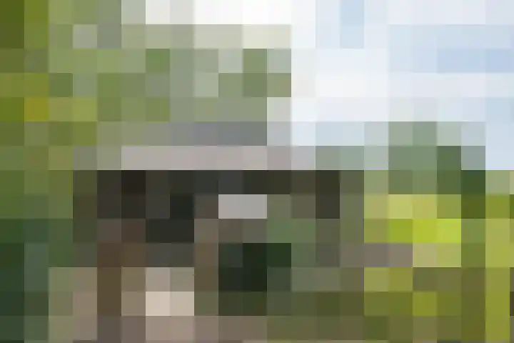 Hogenkampweg 3 Keijenborg thumbnail 21