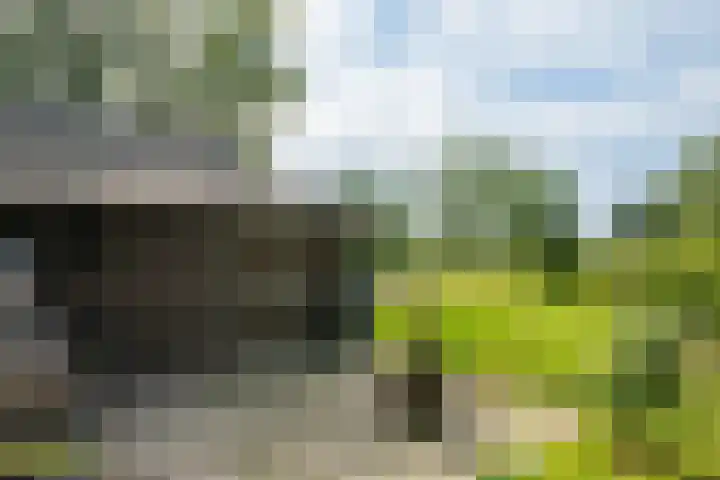 Hogenkampweg 3 Keijenborg thumbnail 22