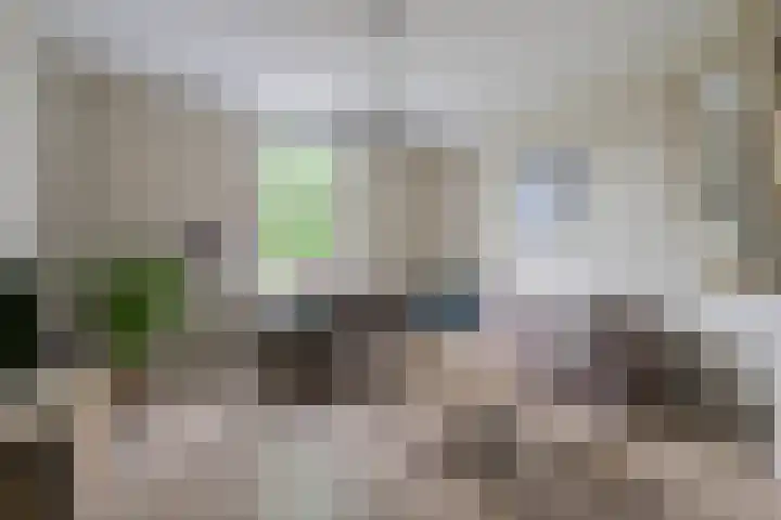 Hogenkampweg 3 Keijenborg thumbnail 31