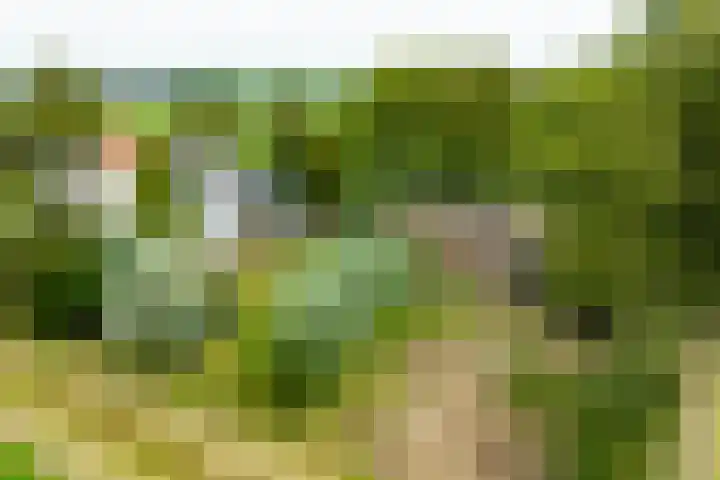 Hogenkampweg 3 Keijenborg thumbnail 5