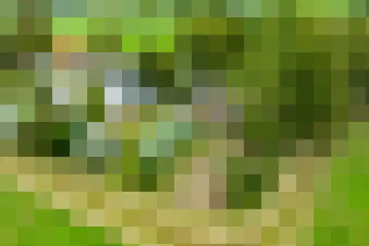 Hogenkampweg 3 Keijenborg thumbnail 6