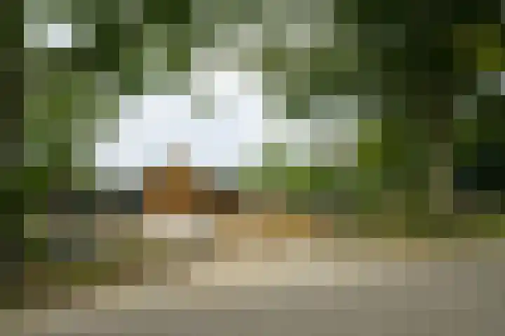 Hogenkampweg 3 Keijenborg thumbnail 63