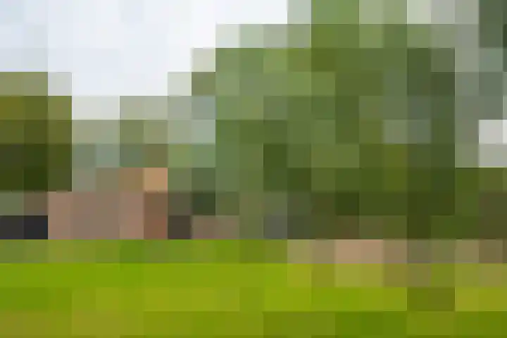 Hogenkampweg 3 Keijenborg thumbnail 64