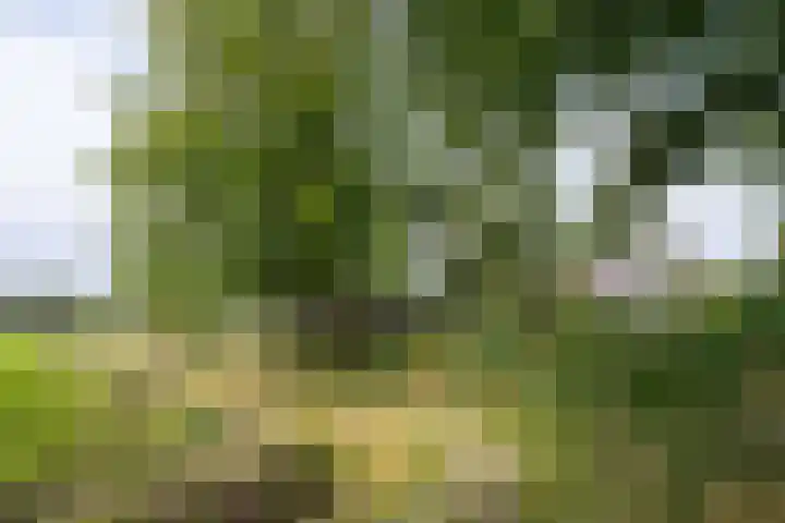 Hogenkampweg 3 Keijenborg thumbnail 69