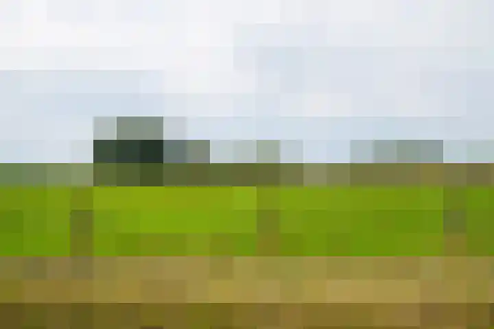 Hogenkampweg 3 Keijenborg thumbnail 71