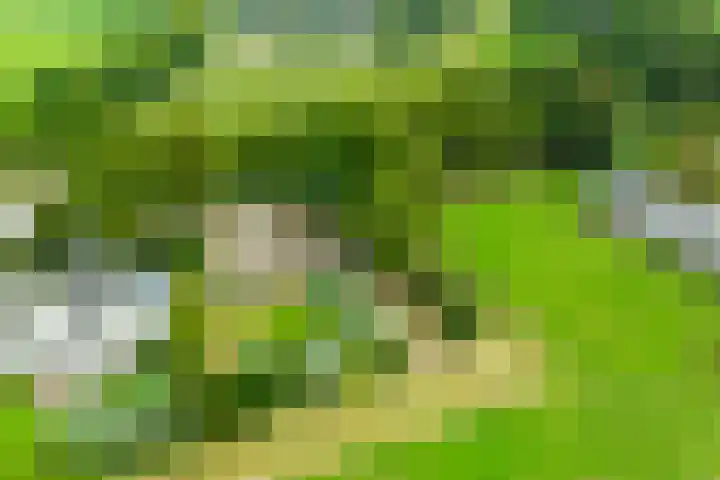 Hogenkampweg 3 Keijenborg thumbnail 9