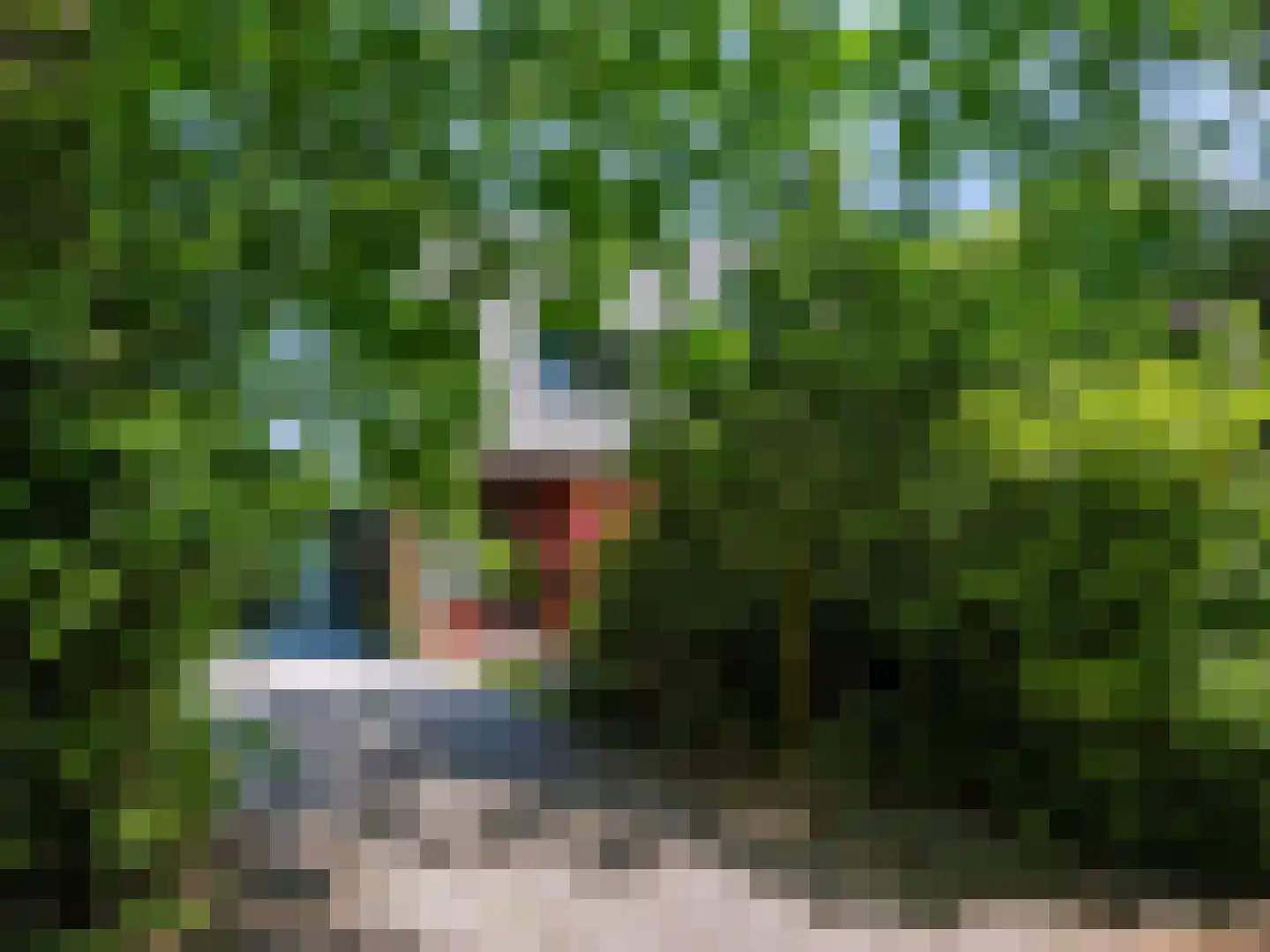 Hogenolweg 22 Groet thumbnail 29