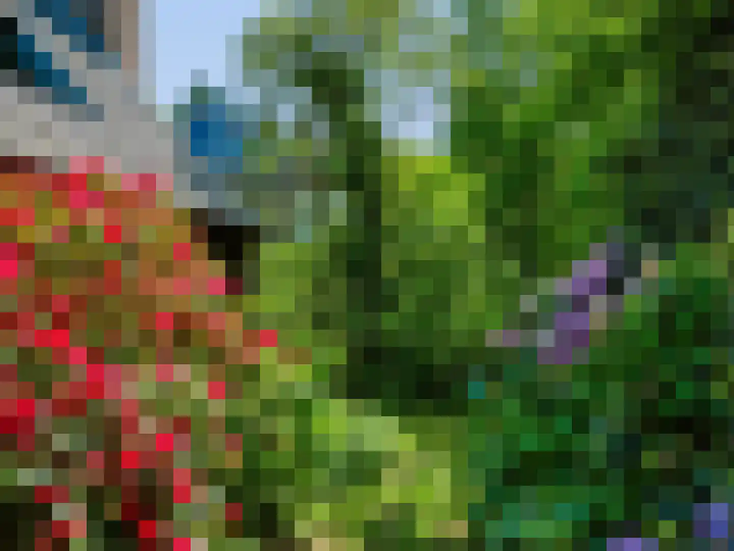 Hogenolweg 22 Groet thumbnail 31