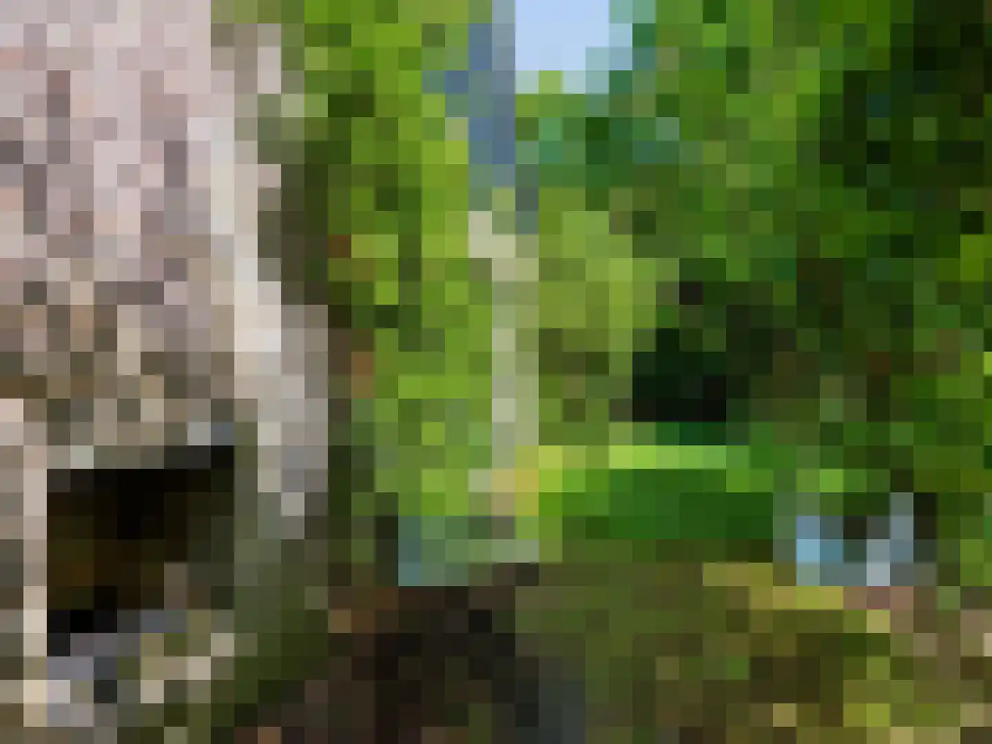 Hogenolweg 22 Groet thumbnail 33