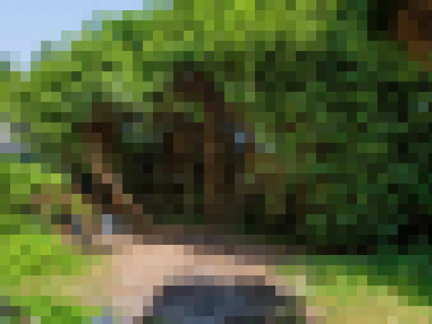 Hogenolweg 22 Groet thumbnail 37