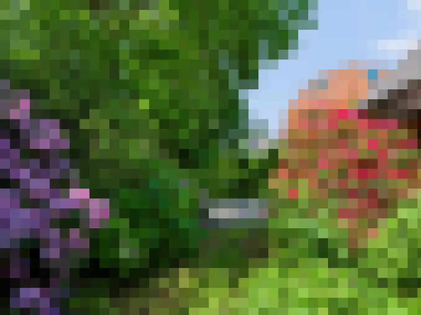 Hogenolweg 22 Groet thumbnail 38