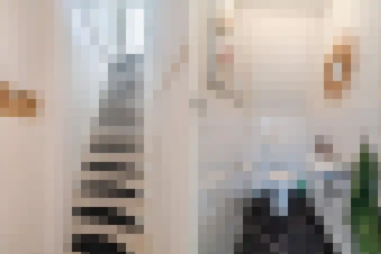 Hogenoord 23 Utrecht thumbnail 12