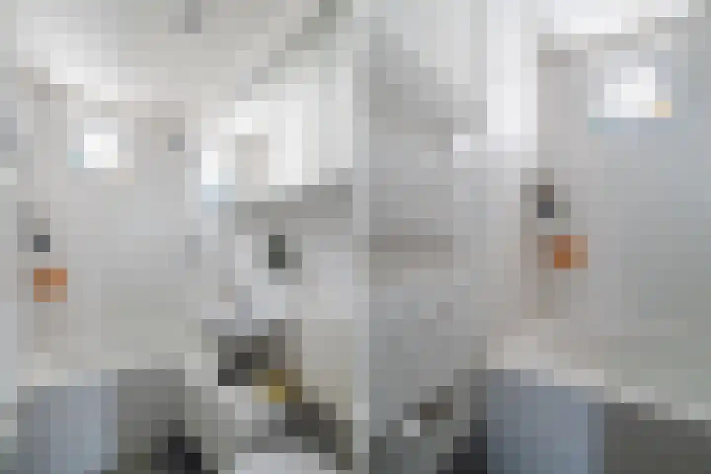 Hogenoord 23 Utrecht thumbnail 20
