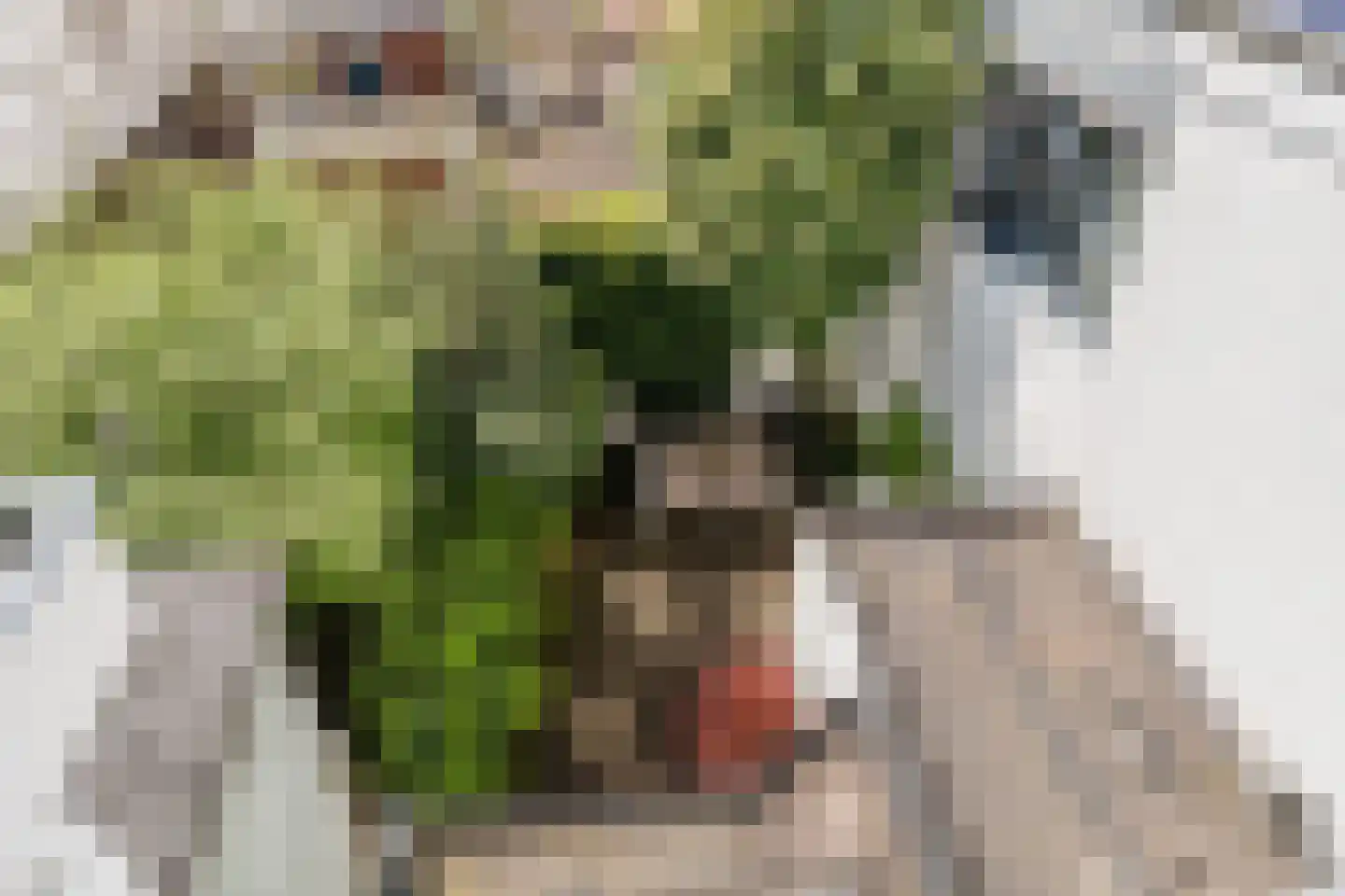 Hogenoord 23 Utrecht thumbnail 21